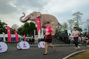 BIB: 
                            <button type="button" onclick="openModal(26528610)" class="btn btn-primary btn-sm float-right btn-popup" data-toggle="modal" data-target=".modal-high-quality">
                        <i class="fas fa-shopping-cart"></i> Add to Cart
                    </button>
                                            <button type="button" onclick="isThisMe(26528610, true)" class="btn btn-success btn-sm float-right btn-popup btn-isme hidden" data-toggle="tooltip" data-placement="bottom" title="นี่คือรูปของคุณใช่ไหม คลิกที่นี่เพื่อเอาเข้าอัลบั้ม">
                        <i class="fas fa-plus"></i> Add to album
                    </button>
                    <button type="button" onclick="isThisMe(26528610, false)" class="btn btn-warning btn-sm float-right btn-popup btn-isnotme hidden">
                        <i class="fas fa-ban"></i> Remove from album
                    </button>